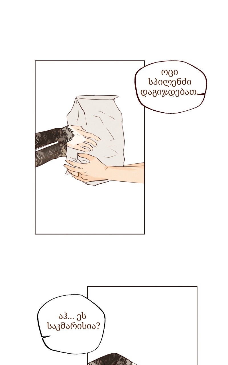 Page (65)